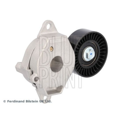 Tendicinghia, Cinghia Poly-V