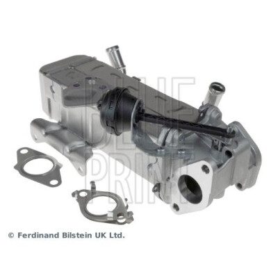 Modulo EGR
