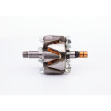 Rotore, Alternatore