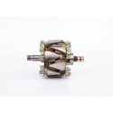 Rotore, Alternatore