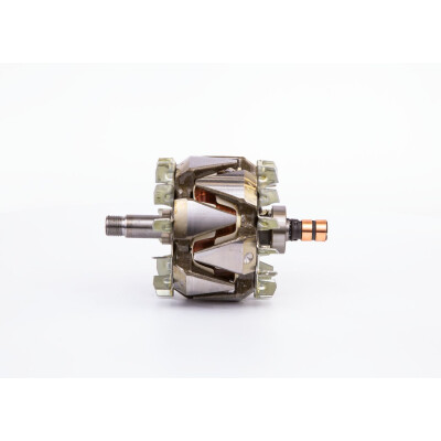 Rotore, Alternatore