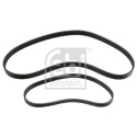 Kit Cinghie Poly-V