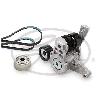 Kit Cinghie Poly-V