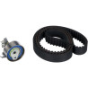 Kit cinghie dentate