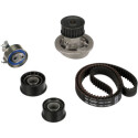 Pompa acqua + Kit cinghie dentate