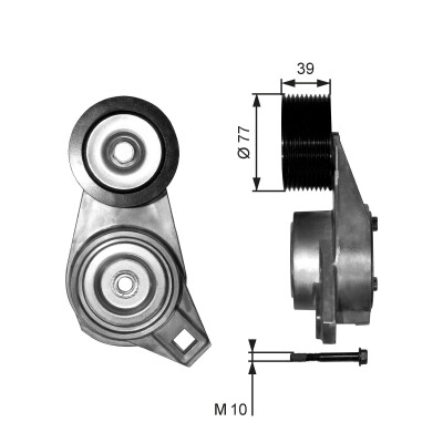 Tendicinghia, Cinghia Poly-V