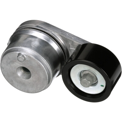 Tendicinghia, Cinghia Poly-V
