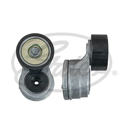 Tendicinghia, Cinghia Poly-V