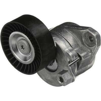 Tendicinghia, Cinghia Poly-V