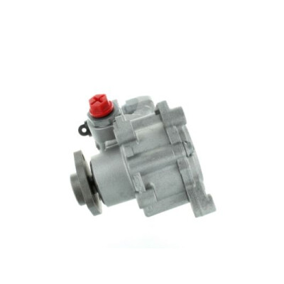 Pompa idraulica, Sterzo