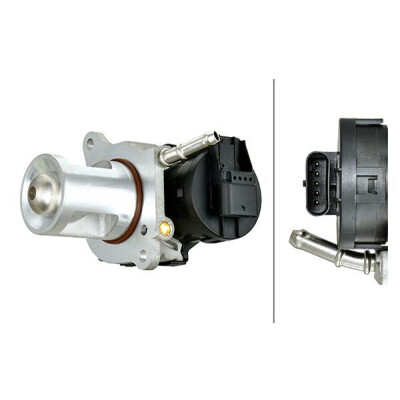 Valvola EGR