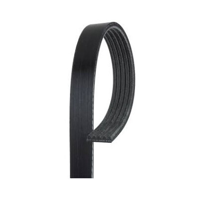 Cinghia Poly-V