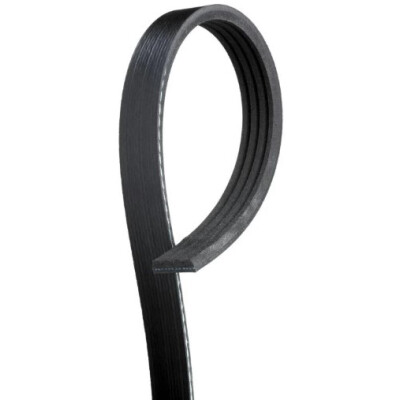Cinghia Poly-V