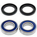 Kit cuscinetti ruota All Balls 251273