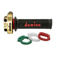 Acceleratore Domino 3846.0301