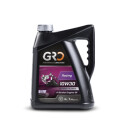 CORSA 10W30 (4)