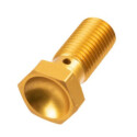 Bullone banjo corto M10x1,25 TRW