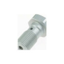 Bullone banjo corto M10x1.0 Brembo TRW MCH911A