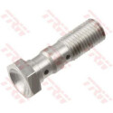 Bullone banjo doppio M10x1,25 TRW MCH951C