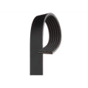 Cinghia Poly-V