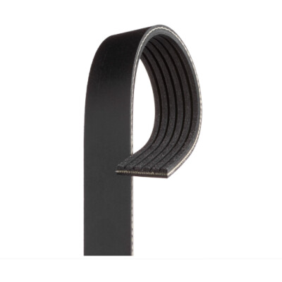 Cinghia Poly-V