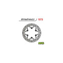 DISCO FRENO NG 1073 316X144X5
