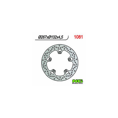 DISCO FRENO NG 1081 267X132X4.5