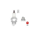 Candela NGK 7021