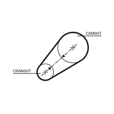 Cinghia dentata