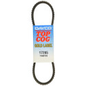 Cinghia trapezoidale DAYCO 13A0725C