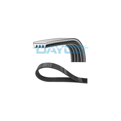 Cinghia trapezoidale scanalata DAYCO 4PK1538
