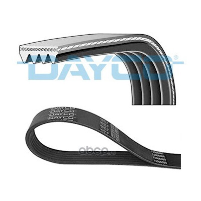 Cinghia trapezoidale scanalata DAYCO 4 PK 841
