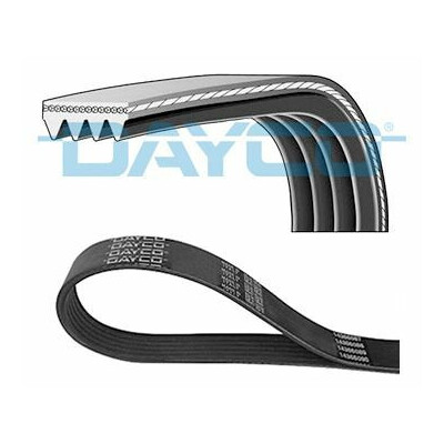 Cinghia trapezoidale scanalata DAYCO 4 PK 905
