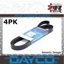 Cinghia trapezoidale scanalata DAYCO 4 PK 962