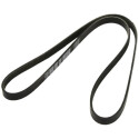 Cinghia trapezoidale scanalata DAYCO 5 PK 1200