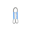Cinghia trapezoidale scanalata DAYCO 5 PK 1355