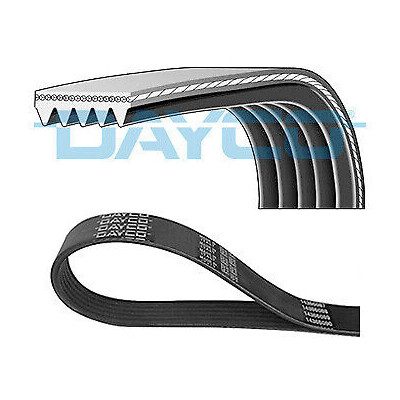 Cinghia trapezoidale scanalata DAYCO 5PK884