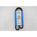 Cinghia trapezoidale scanalata DAYCO 5 PK 975