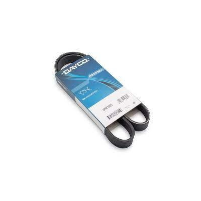 Cinghia trapezoidale scanalata DAYCO 6 PK 1005