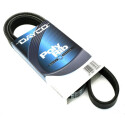 Cinghia trapezoidale scanalata DAYCO 6 PK 1045