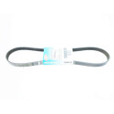 Cinghia trapezoidale scanalata DAYCO 6PK1080