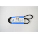 Cinghia trapezoidale scanalata DAYCO 6 PK 1165