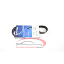 Cinghia trapezoidale scanalata DAYCO 6 PK 1205