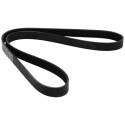 Cinghia trapezoidale scanalata DAYCO 6PK1217
