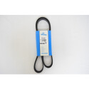 Cinghia trapezoidale scanalata DAYCO 6 PK 1330
