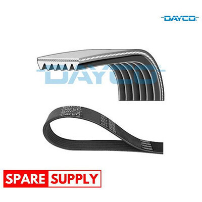 Cinghia trapezoidale scanalata DAYCO 6 PK 1415