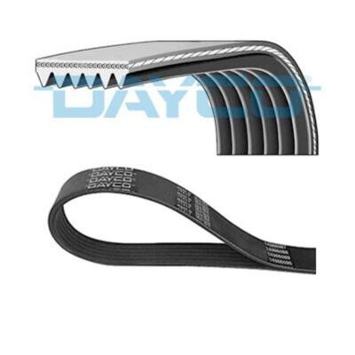 Cinghia trapezoidale scanalata DAYCO 6PK1606