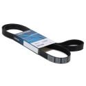 Cinghia trapezoidale scanalata DAYCO 6 PK 1613