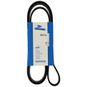 Cinghia trapezoidale scanalata DAYCO 6PK1744