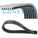 Cinghia trapezoidale scanalata DAYCO 6 PK 1830